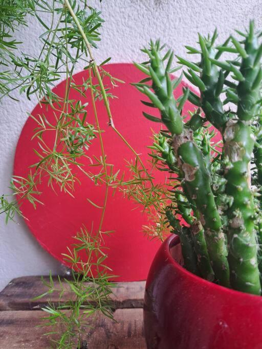 Appartement Cosy Avec Jardin Et Parking 쥬네빌러 외부 사진