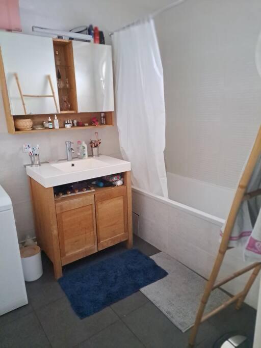 Appartement Cosy Avec Jardin Et Parking 쥬네빌러 외부 사진